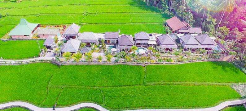 乌布JJ水疗别墅(Villa JJ and Spa Ubud)图片