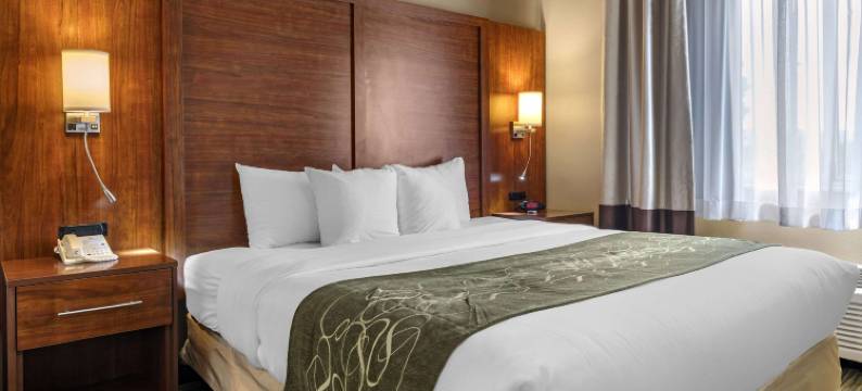 北部舒适套房酒店(Comfort Suites North)图片