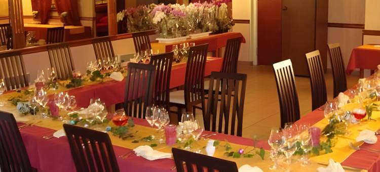 希农金狮子原生酒店(Brit Hotel le Lion d'Or Chinon)图片