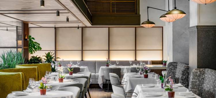 库斯科马德里威斯汀酒店(The Westin Madrid Cuzco)图片