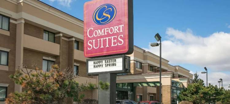 橡树溪阳台近橡树溪中心舒适全套房酒店(Comfort Suites Oakbrook Terrace Near Oakbrook Center)图片