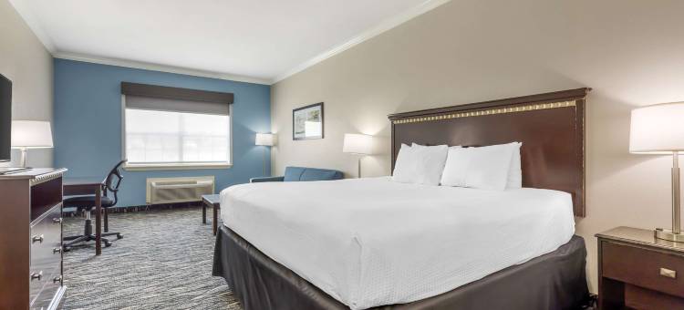 莱克沃思贝斯特韦斯特优质套房酒店(Best Western Plus Lake Worth Inn  Suites)图片