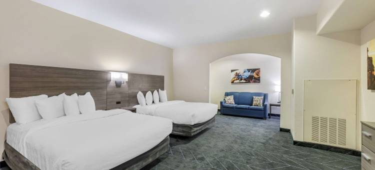 贝斯特韦斯特拉伯克西套房酒店(Best Western Lubbock West Inn  Suites)图片