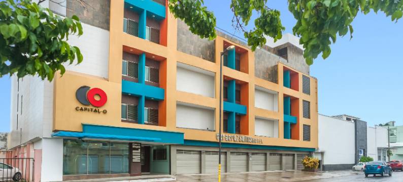 韦拉克鲁斯套房酒店(Veracruz Suites Hotel)图片