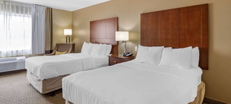 东莫林舒适套房酒店 - 近 I-80(Comfort Inn & Suites East Moline Near I-80)图片