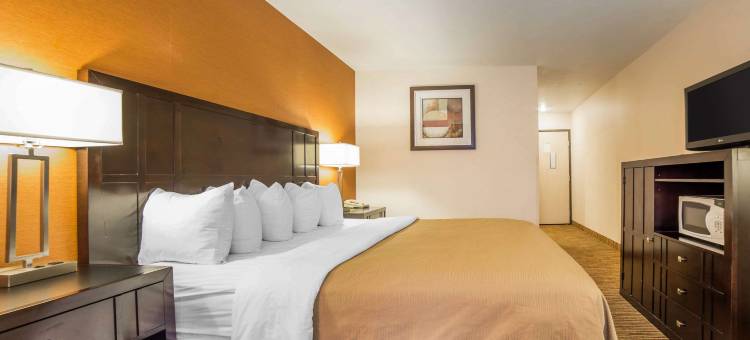 凯艺酒店(Quality Inn)图片