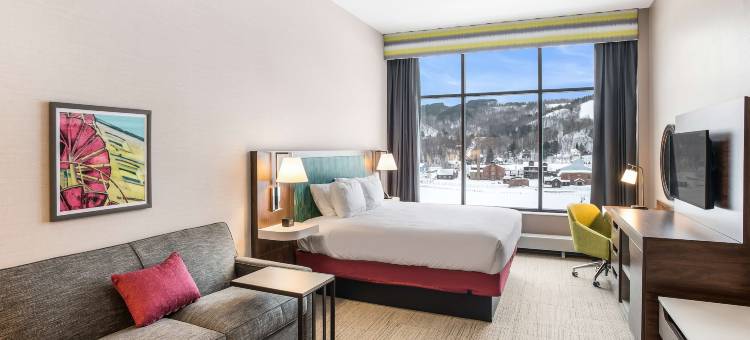 霍顿汉普顿套房酒店(Hampton Inn & Suites by Hilton Houghton)图片