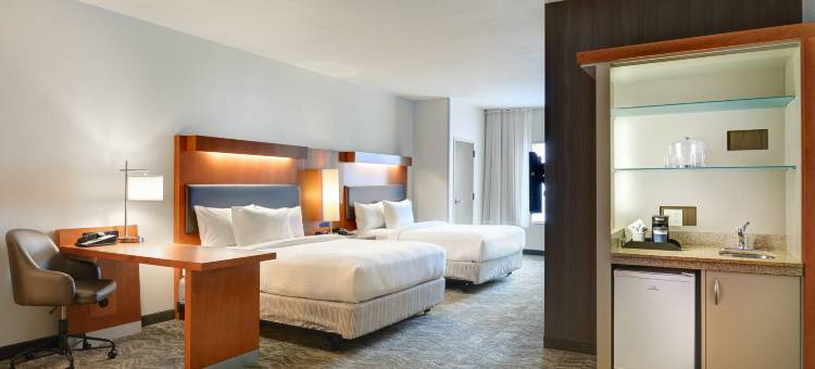 什里夫波特伯锡尔城/路易斯安那唐斯万豪SpringHill酒店(SpringHill Suites Shreveport-Bossier City/Louisiana Downs)图片