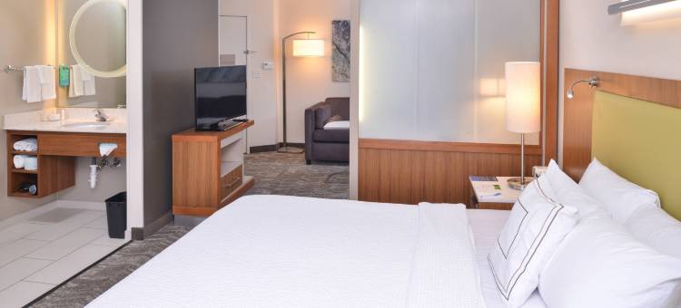 亨德森拉斯维加斯SpringHill Suites 酒店(SpringHill Suites Las Vegas Henderson)图片