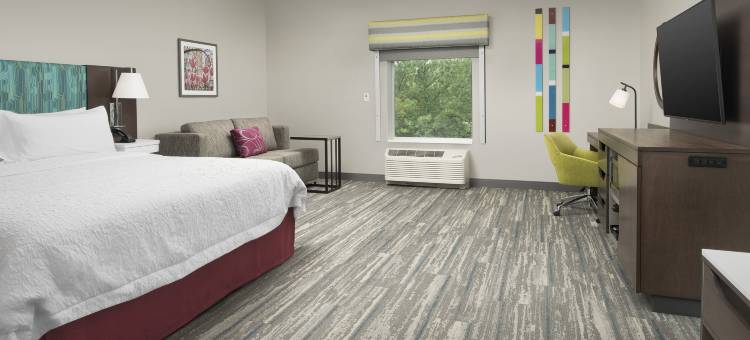 夏洛特机场普安特湖欢朋套房酒店(Hampton Inn & Suites Charlotte Airport Lake Pointe)图片