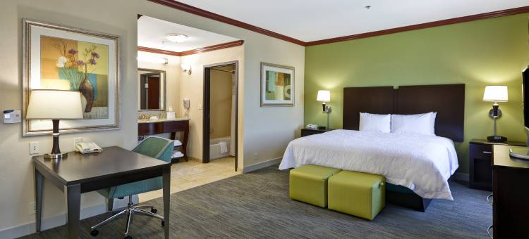 科珀斯克里斯蒂I-37 - 导航大道欢朋酒店及套房(Hampton Inn & Suites Corpus Christi I-37 - Navigation Blvd.)图片