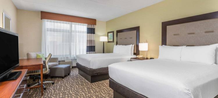 布法罗市中心温德姆花园酒店(Wyndham Garden Buffalo Downtown)图片