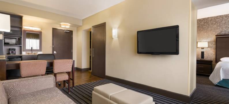 盐湖城西谷市希尔顿安泊酒店(Embassy Suites by Hilton Salt Lake West Valley City)图片