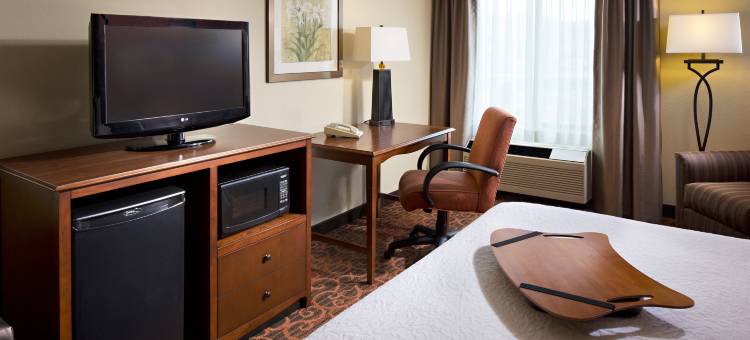 希尔顿欢朋酒店-圣迭戈德尔马(Hampton Inn San Diego/Del Mar)图片