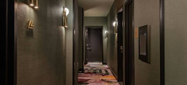 纽约联合广场W 酒店(W New York - Union Square)图片