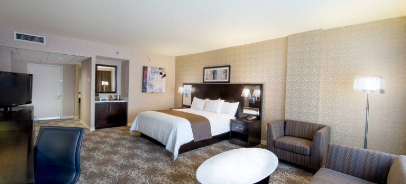 宾汉顿希尔顿逸林酒店(DoubleTree by Hilton Binghamton)图片