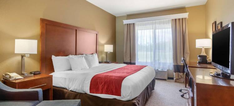 舒适套房酒店(Comfort Inn & Suites)图片