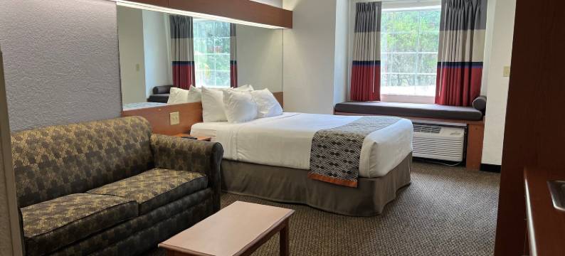 莱迪莱克-村庄麦客达套房酒店(Microtel Inn & Suites by Wyndham Lady Lake/The Villages)图片