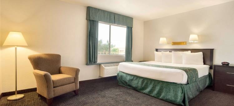 温斯洛Travelodge by Wyndham(Travelodge by Wyndham Winslow)图片