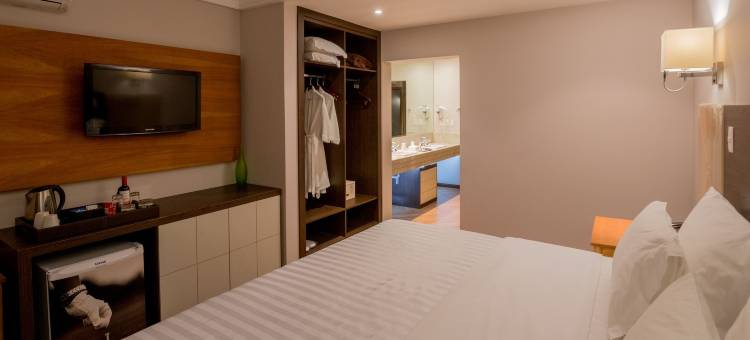 福斯伊瓜苏希望酒店(Wish Foz do Iguaçu)图片