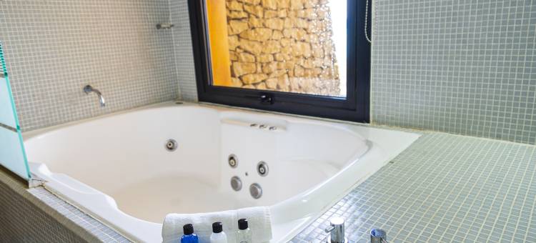 埃尔卡拉法特设计套房酒店(Design Suites Calafate)图片