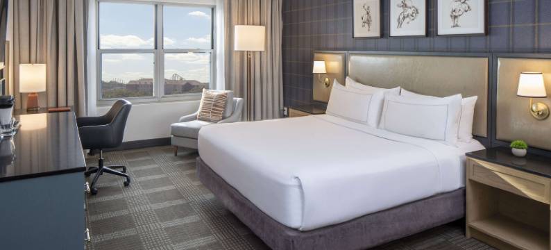 圣安东尼奥希尔顿山间乡村酒店(Hilton San Antonio Hill Country)图片