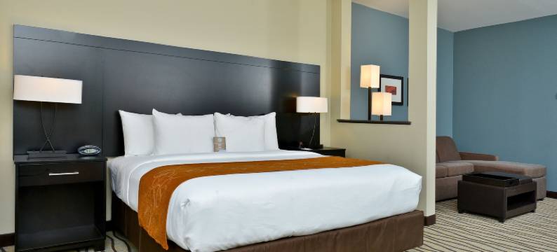 舒适套房酒店-近韦斯特彻斯8号环城路(Comfort Suites near Westchase on Beltway 8)图片