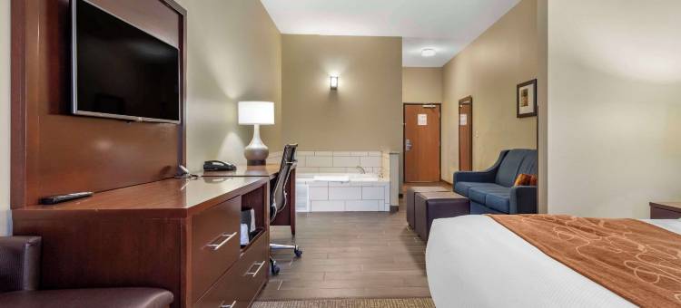 舒适套房酒店-桥港市克拉克斯堡(Comfort Suites Bridgeport - Clarksburg)图片