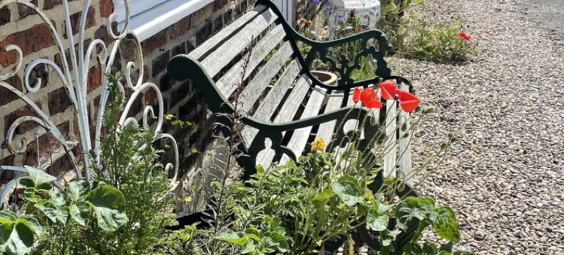 OYO 亚姆小屋(OYO Yarm Cottages)图片