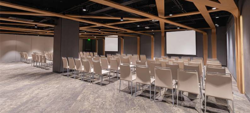 NH典藏墨西哥城公寓(NH Collection Mexico City)图片