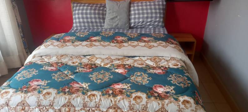 汤米的预算房间(Tommy's Budget Rooms)图片