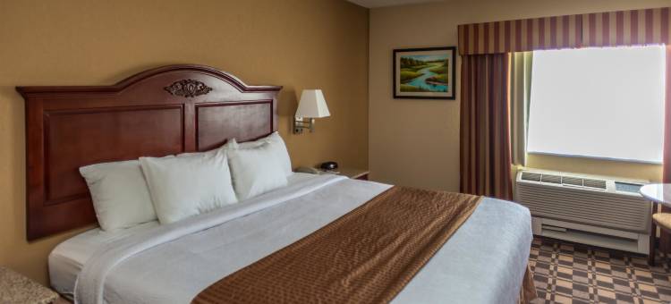 白山贝斯特韦斯特酒店(Best Western White Mountain Inn)图片