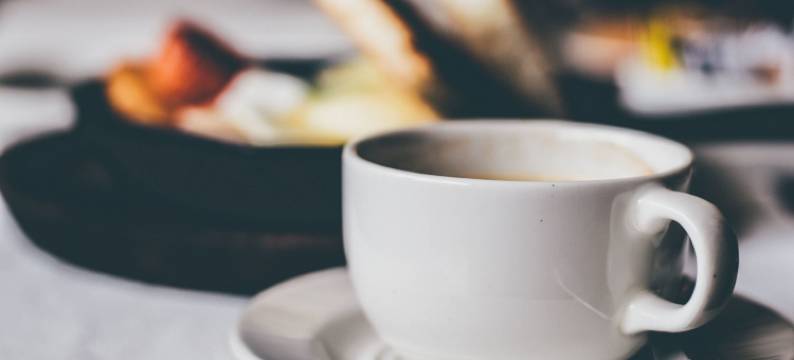 圣路易斯皇家索尼斯塔蔡斯公园广场酒店(The Royal Sonesta Chase Park Plaza St Louis)图片