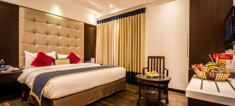 戈德温大酒店(Hotel Grand Godwin - Near New Delhi Railway Station - Free Airport Pick-up)图片