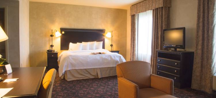 阿林顿北娱乐区欢朋套房酒店达拉斯(Hampton Inn & Suites Dallas-Arlington North-Entertainment District)图片