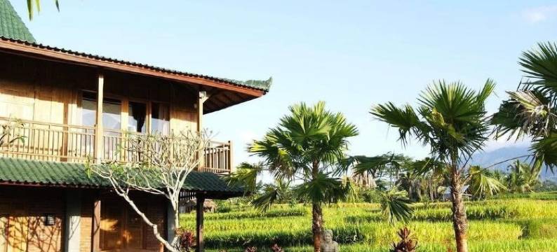 巴厘岛狄阿莫酒店(Ti Amo Bali)图片