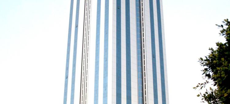 阿瓦利弗国际酒店(Awaliv International Hotel)图片