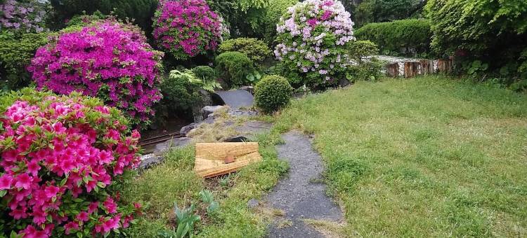 阳光庄(YOKOSO Ryokan)图片