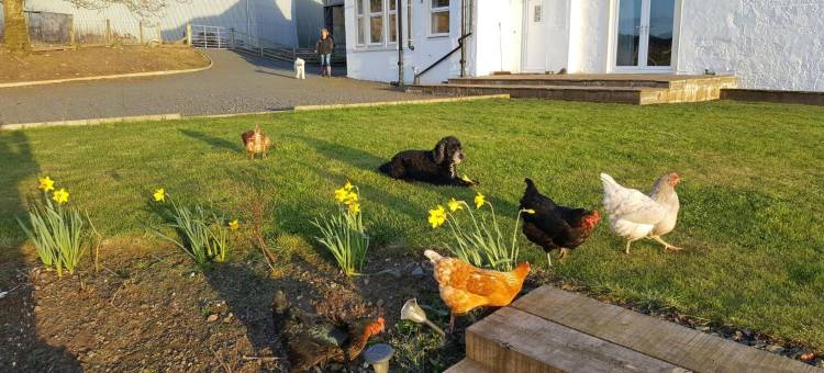 克罗夫黑德农场旅馆(Crofthead Farm House)图片