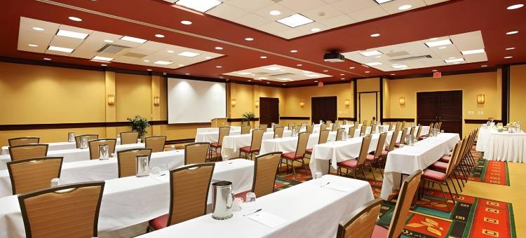 Holiday Inn 阿什维尔 - 比尔特莫尔西(Holiday Inn Asheville - Biltmore West)图片