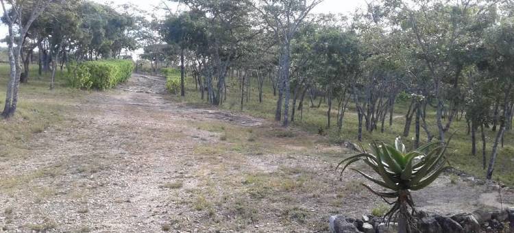 帕斯小屋(Paz Cottage)图片