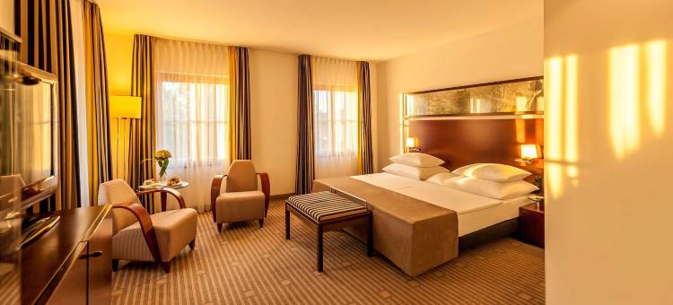 魏玛歌德公园多林特酒店(Dorint am Goethepark Weimar)图片