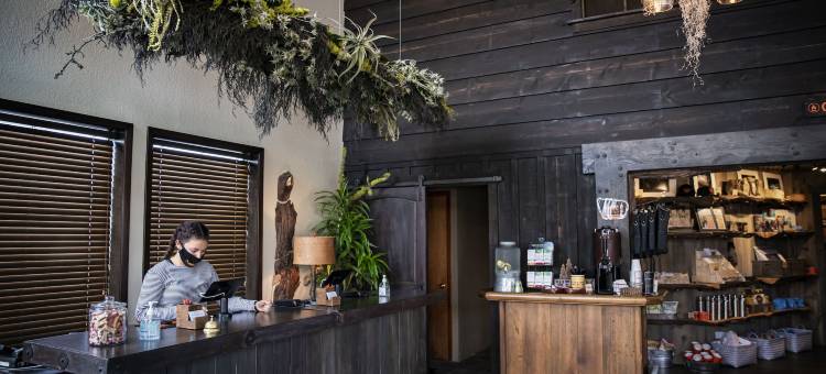 Campfire酒店(Campfire Hotel)图片