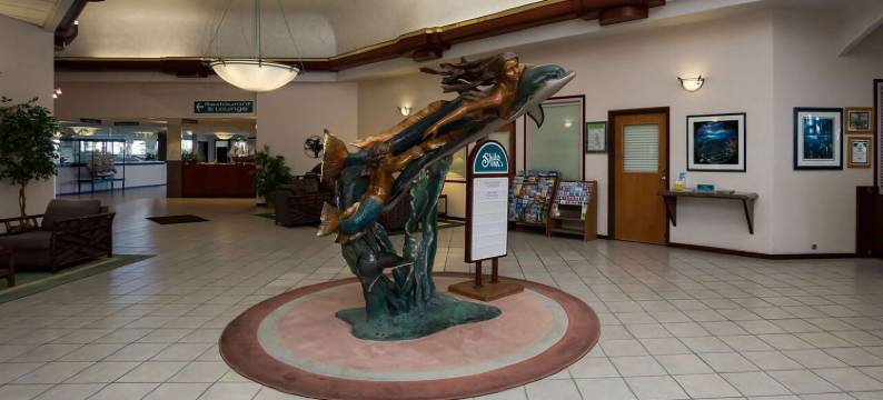 欧圣肖斯希洛套房酒店(Shilo Inn Suites Ocean Shores)图片