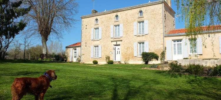 勒蒂勒尚布斯德酒店(Chambres d'Hôtes le Tilleul)图片