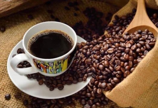 Ritungu Camp Hotel Overview