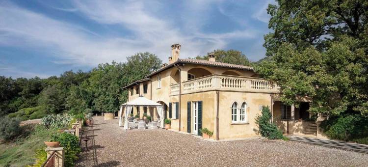 Tenuta il Sassone - 美酒与美食(Tenuta il Sassone - Wine & Food)图片