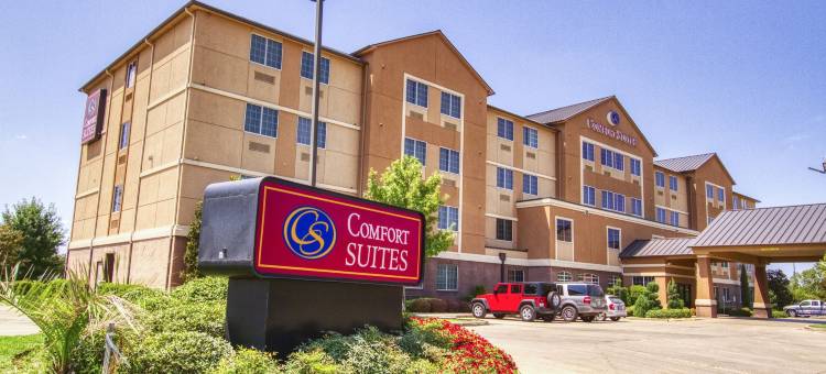 韦科北舒适套房酒店-近大学区(Comfort Suites Waco North - Near University Area)图片