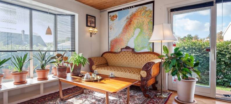 克拉拉(Klara)图片