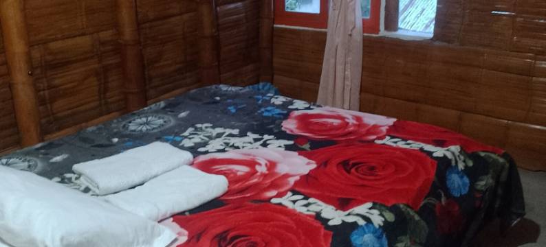 埃尔巴姆旅馆(Hostal El Bambú)图片